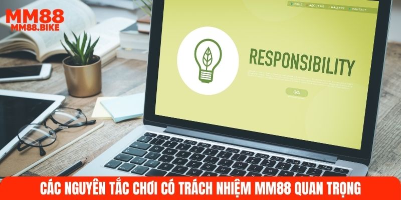 Các nguyên tắc chơi có trách nhiệm MM88 quan trọng